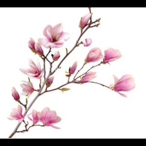 Meet your Posher, Kylie